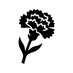 AVANTI PSI NETTUNO